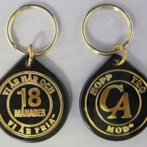 Swedish Plastic Chip (All Sobriety Times)