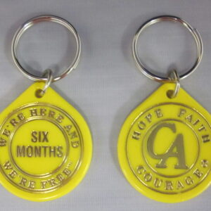 ae. English Plastic Chip - 6 Months